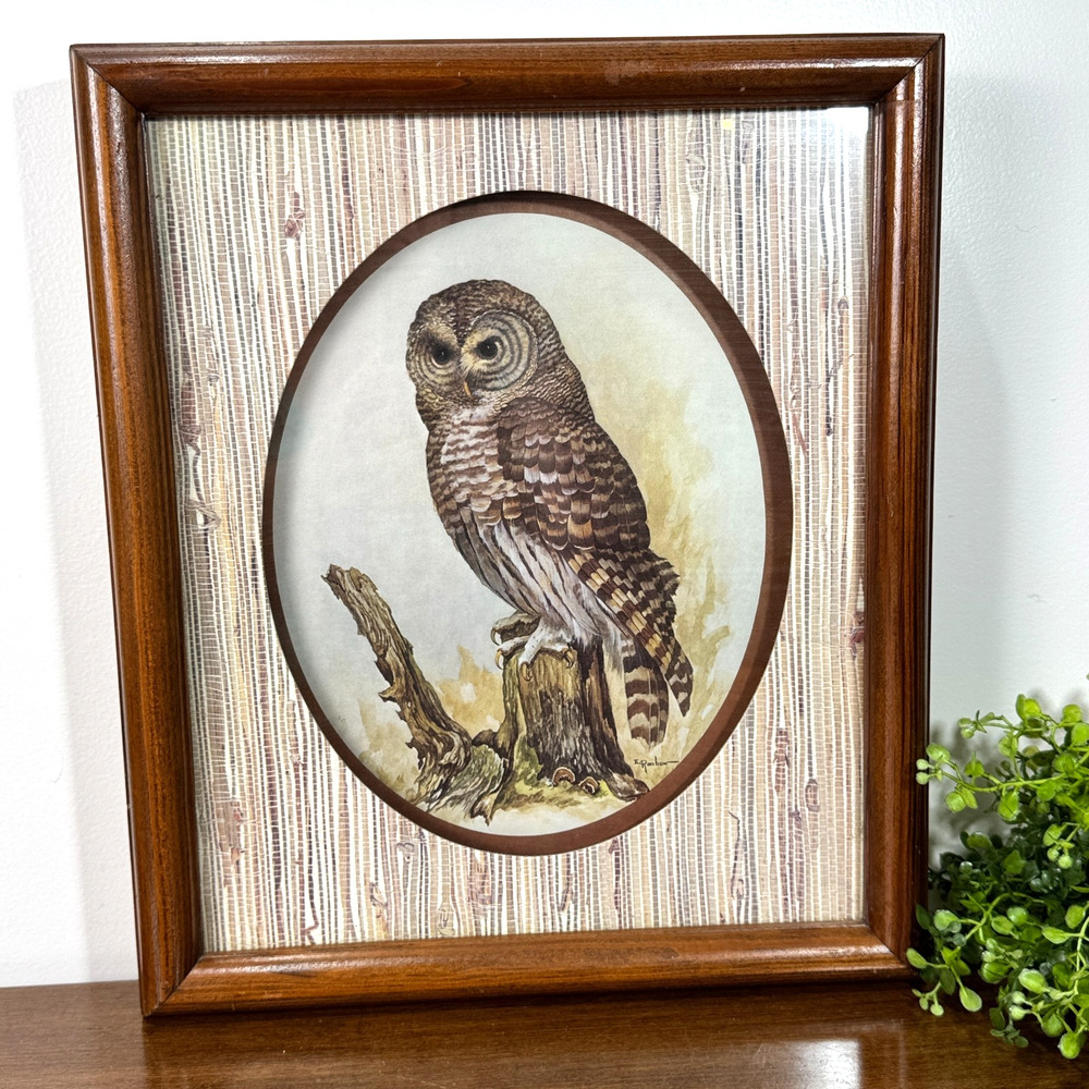 Vintage Framed Owl Wildlife Print Shadow Box Wood Frame Cabin Lodge Decor Art